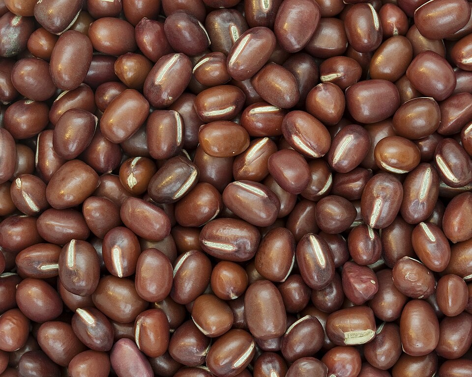 Adzuki bean
