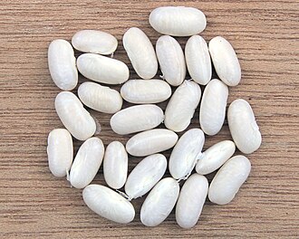 Navy bean